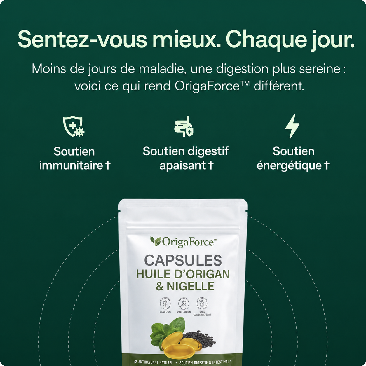 Capsules huile d'origan concentrée 3