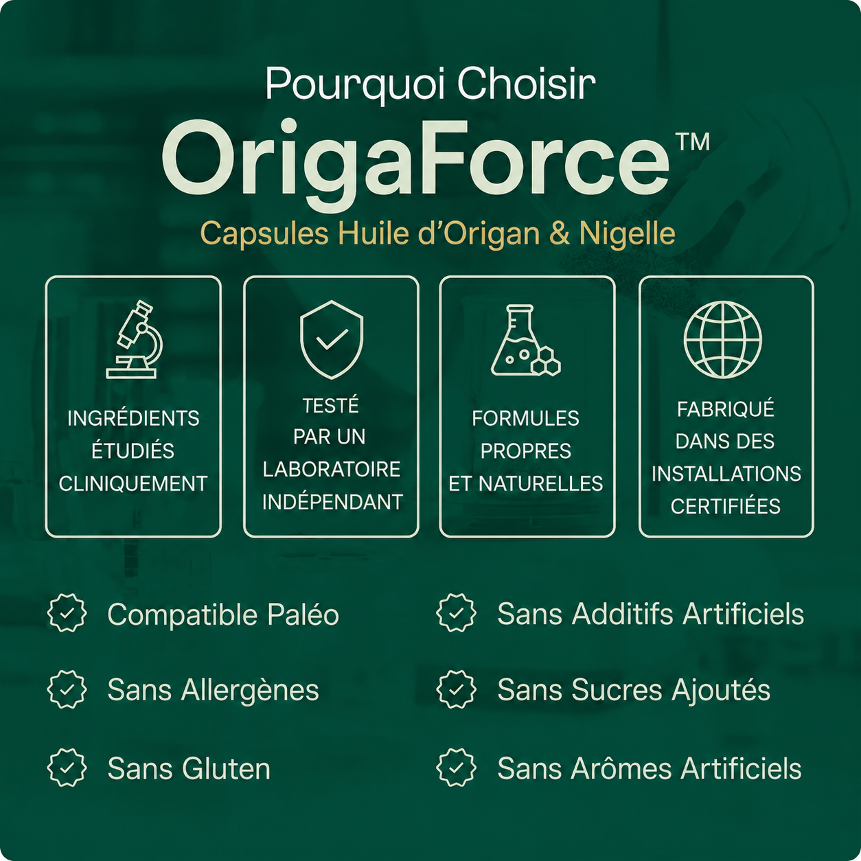 Capsules huile d'origan concentrée 4